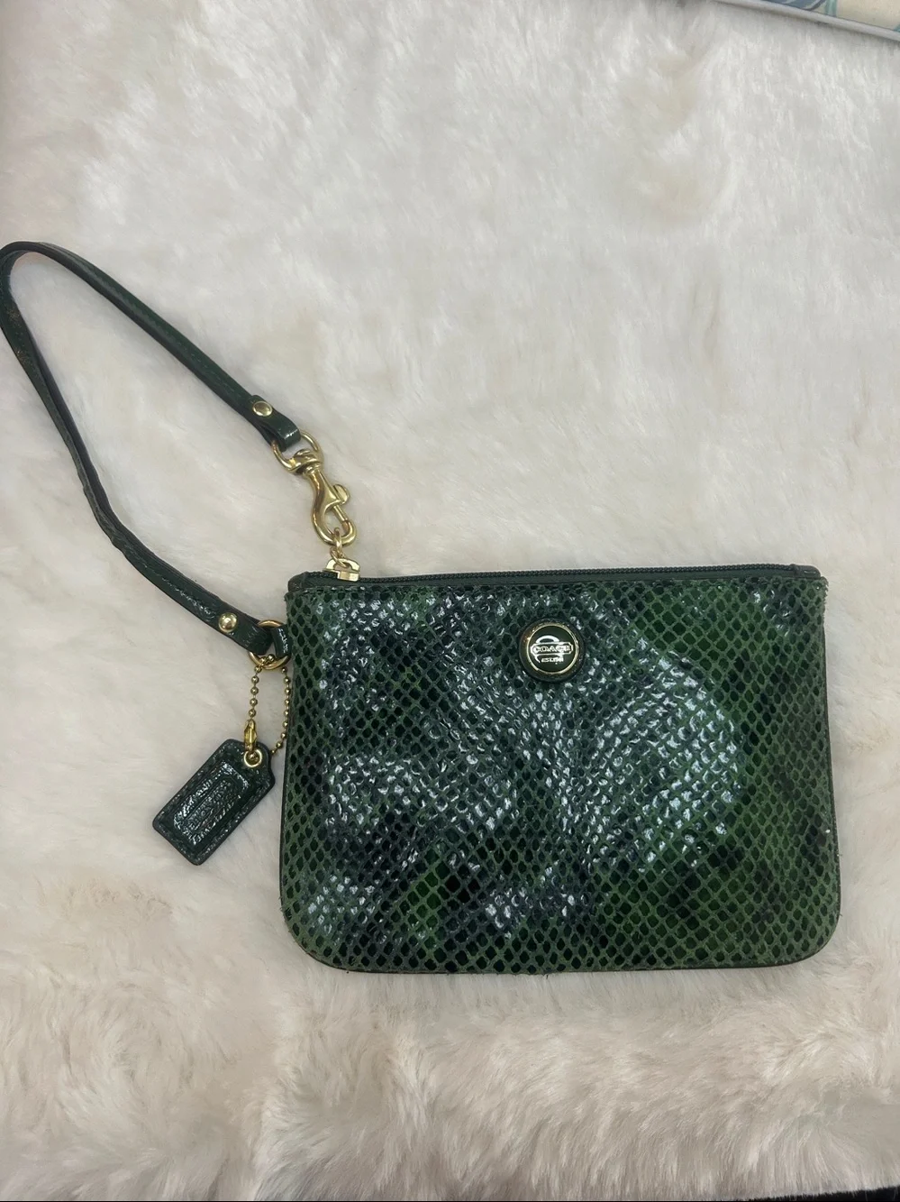 Coach Green Snakeskin Wristlet with hang tag